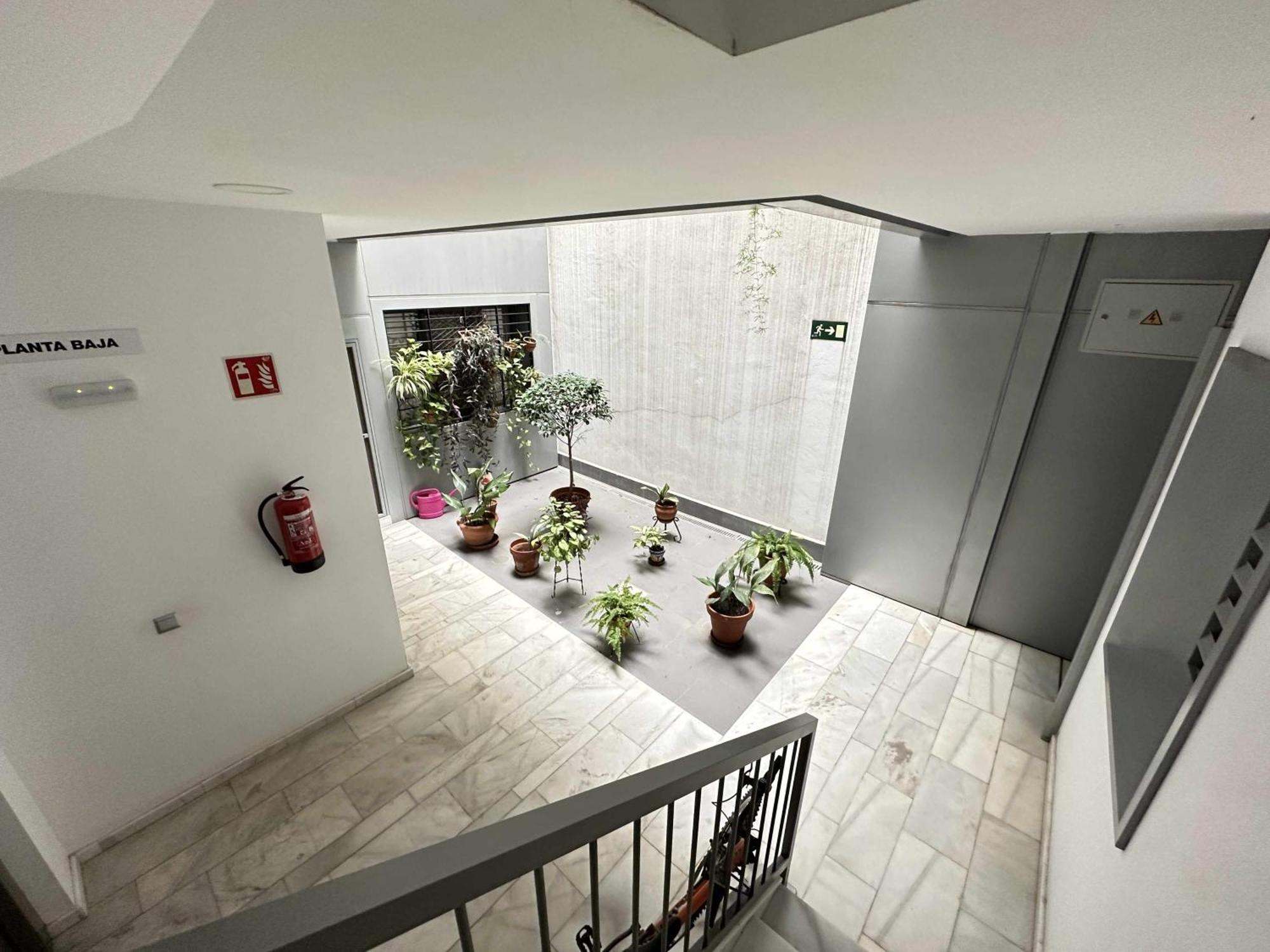 Apartment Alma De San Bernardo *